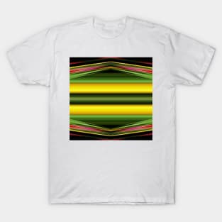 Stripes and Zig Zags T-Shirt